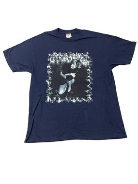 Vintage 90s Tina Turner Wildest Dreams Tour Single Stitch T-Shirt